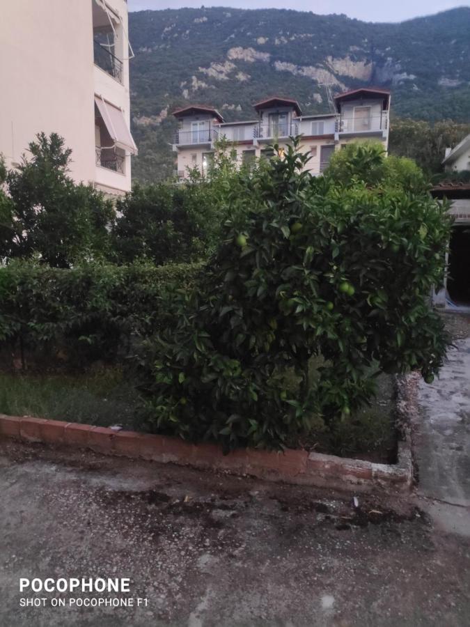 Κεντρικό, Άνετο Και Ζεστό Διαμέρισμα Kamena Vourla Dış mekan fotoğraf